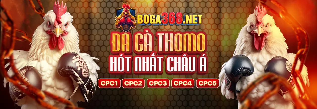 Sự đa dạng các môn thể thao tại mu9 casino